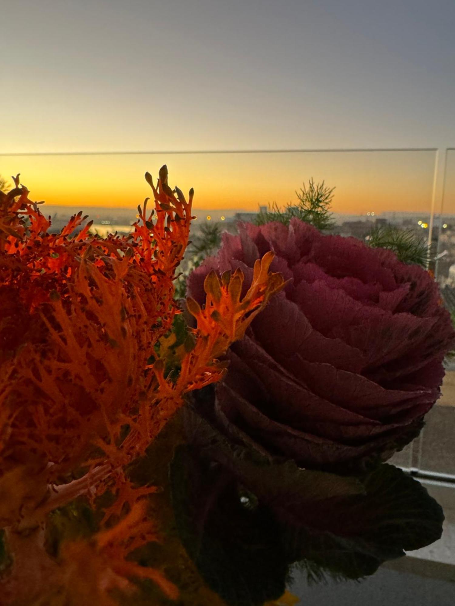 La Terrazza Sul Porto Bed & Breakfast Syracuse Exterior photo